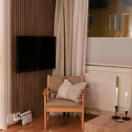 Feeling In The Center Of Apartman Trondheim
